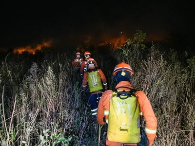 MS declara situação de emergência em cidades afetadas por incêndios florestais