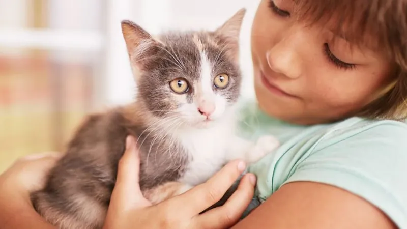 Plaza Shopping terá evento de adoção de pets no sábado (29)