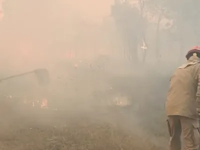 PF aponta que parte dos incêndios no Pantanal foram causados pela ação humana