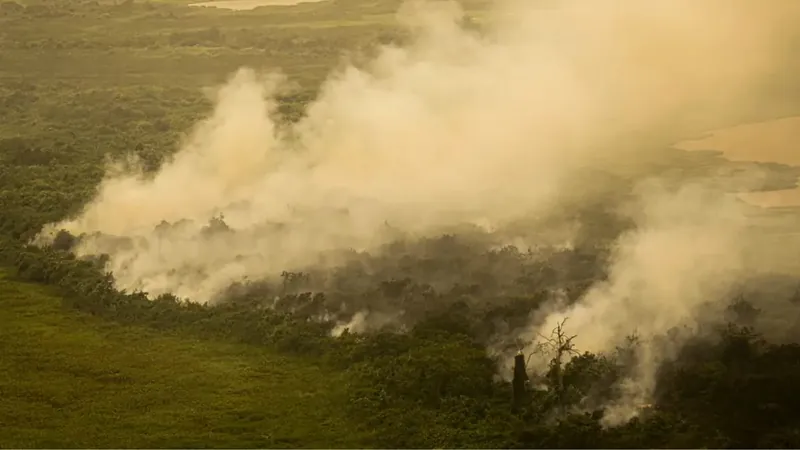 Polícia Federal vai investigar focos de incêndios no Pantanal