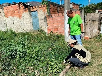 Fiocruz alerta para meningite transmitida por caramujo, em Nova Iguaçu