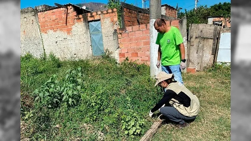 Fiocruz alerta para meningite transmitida por caramujo, em Nova Iguaçu