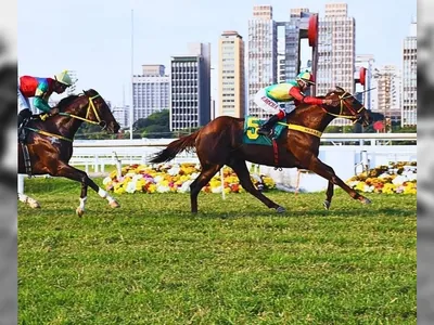 TJ de São Paulo revoga lei que proíbe corridas de cavalos no Jockey Club
