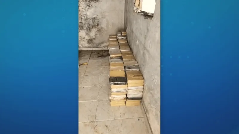 Operação apreende duas toneladas de cocaína em ‘chácara do pó’ na Grande SP