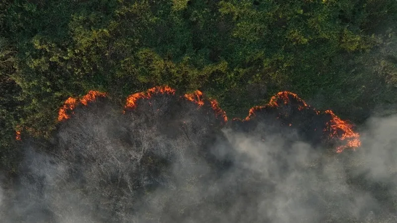 Amazônia e Pantanal enfrentam as piores queimadas em 17 anos, indica observatório europeu