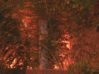 Defesa Civil renova alerta de risco elevado para incêndios no Vale do Paraíba