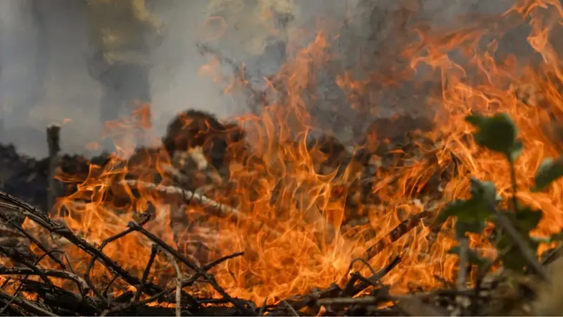 Marina Silva afirma que 30 de 54 focos de incêndios foram extintos no Pantanal