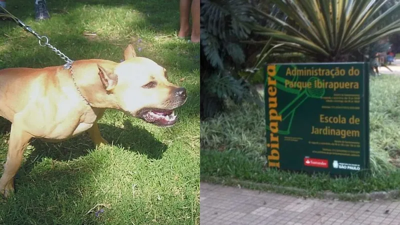 Frequentadores do Parque Ibirapuera (SP) denunciam cães soltos e sem focinheira