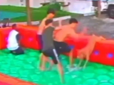 Vídeo: pitbull ataca porteiro e invade festa de crianças em condomínio na Bahia