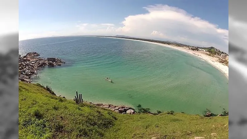 Elefante marinho é flagrado nas águas de Praia Grande, em Arraial do Cabo