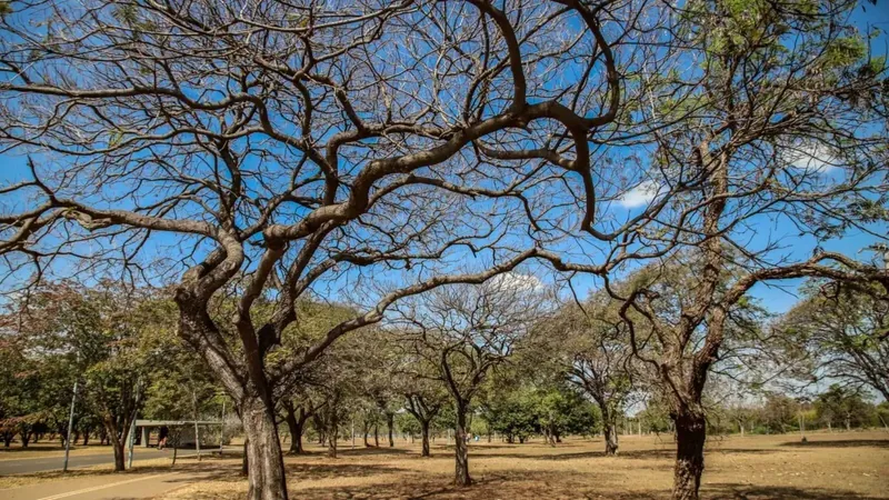 Inmet alerta sobre baixa umidade no Centro-Oeste e no Tocantins