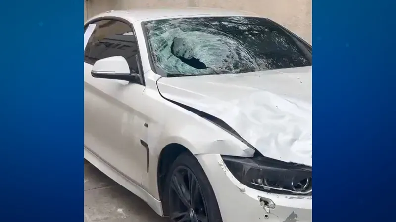 BMW do influencer que atropelou noivo no Recreio tem mais R$ 51 mil em dívidas