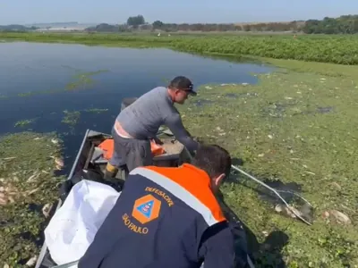 Defesa Civil inicia retirada de toneladas de peixes mortos no Rio Piracicaba