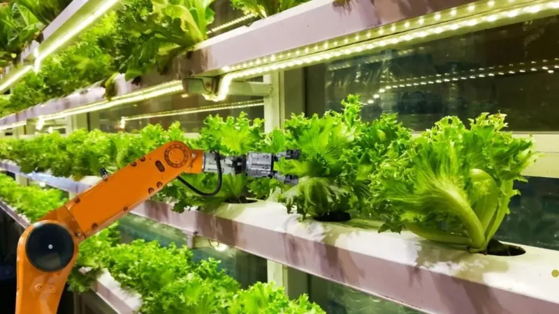 Tecnologia no campo: como os robôs estão sendo usados na agricultura