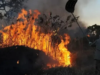 Minas Gerais tem junho com mais queimadas dos últimos cinco anos