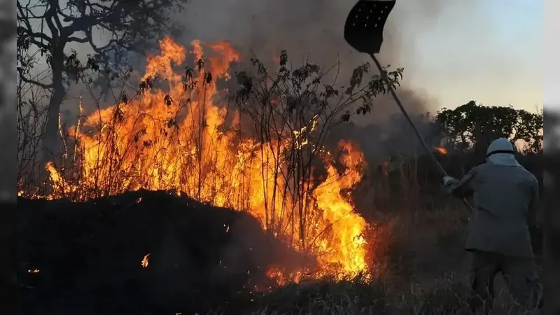 Minas Gerais tem junho com mais queimadas dos últimos cinco anos