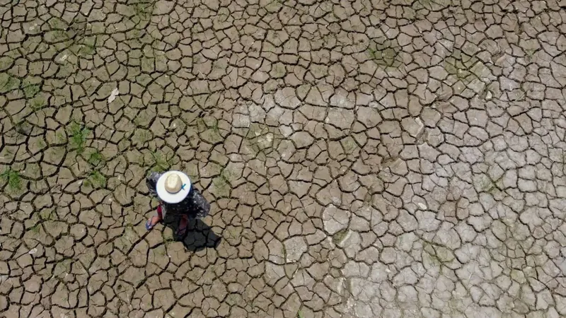 Clima: quais alimentos podem sofrer alta de preços com os impactos do La Niña?