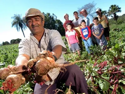 25 de julho: Dia Internacional da Agricultura Familiar