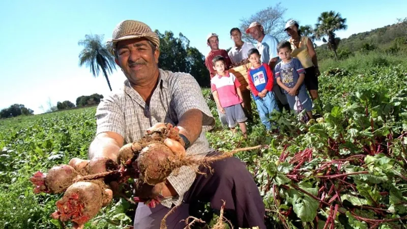 25 de julho: Dia Internacional da Agricultura Familiar