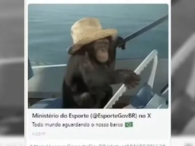 Ministério do Esporte faz postagem racista com macaco, tira do ar e lamenta