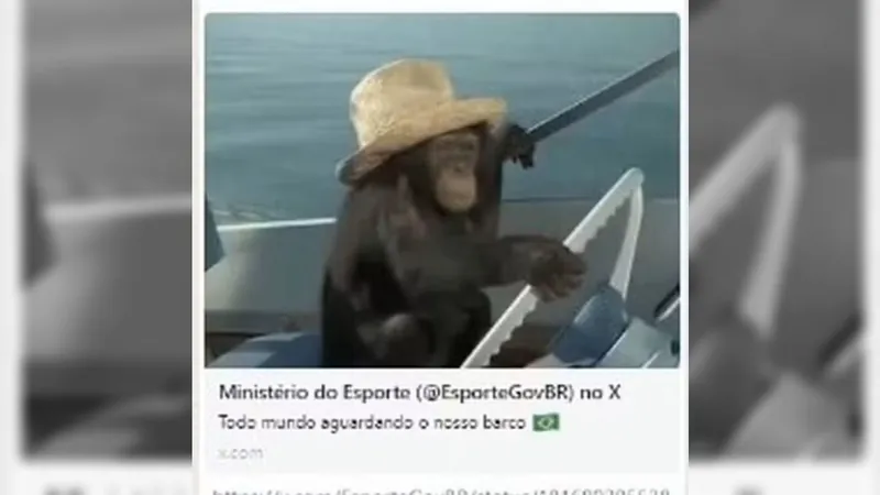 Ministério do Esporte faz postagem racista com macaco, tira do ar e lamenta