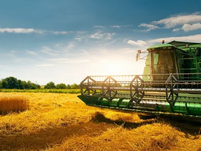 PR: produção de trigo deve alcançar 3,61 milhões de toneladas na safra 23/24