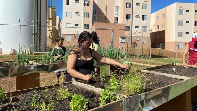 Sancionada Lei da Política Nacional de Agricultura Urbana e Periurbana