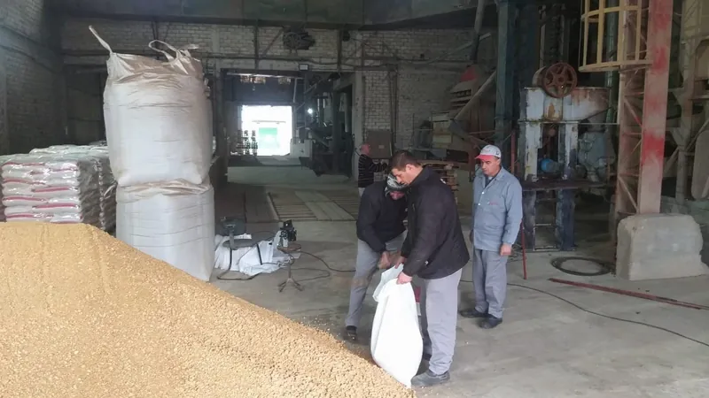 Abelhas gaúchas recebem 10 toneladas de farelo de soja para enfrentar o inverno