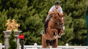 Quem é Pedro Veniss, brasileiro eliminado do hipismo por sangramento no cavalo