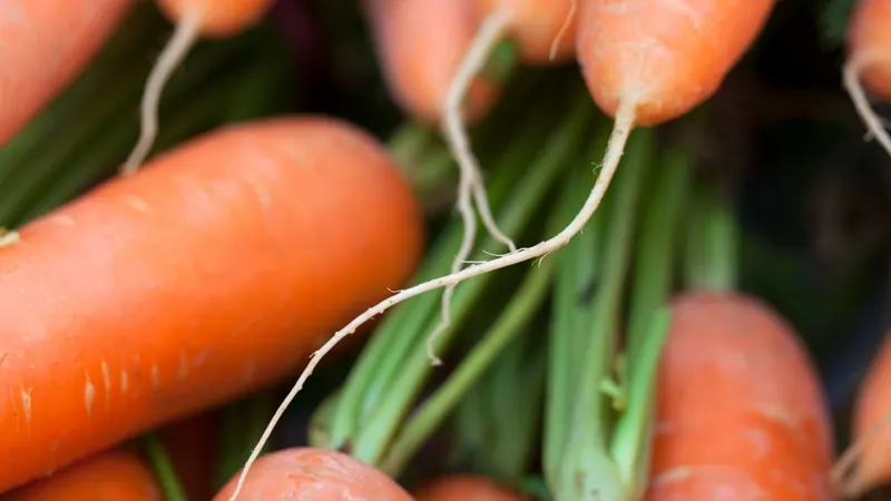 Preços de hortaliças e frutas caem em todo o Brasil; veja quais