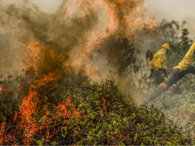 Pantanal: PF vai abrir investigação para identificar responsáveis por queimadas