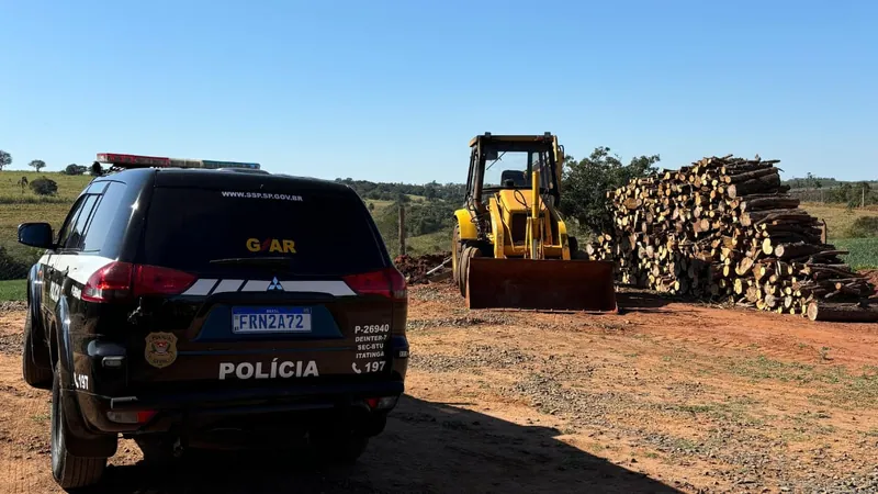 Polícia Civil descobre descarte irregular de carcaças de frango em Itatinga