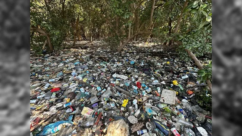 Mangue na Península do Caju, no Rio, apresenta acúmulo de lixo