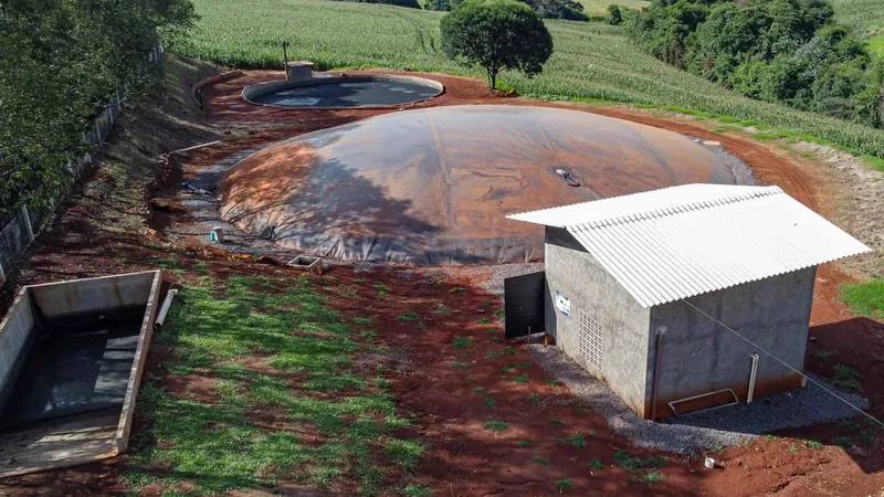 Produção de biogás na suinocultura gera renda extra para produtores paranaenses