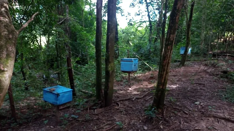 Fazenda centenária de pesquisa pública agrícola perde mais de 90% dos servidores