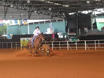 Festa do Peão de Barretos anuncia nova modalidade equestre