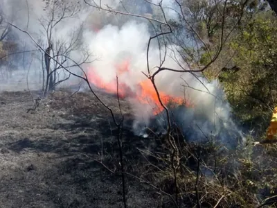 Vale do Paraíba segue com dois focos de incêndio ativos nesta quarta-feira (2)