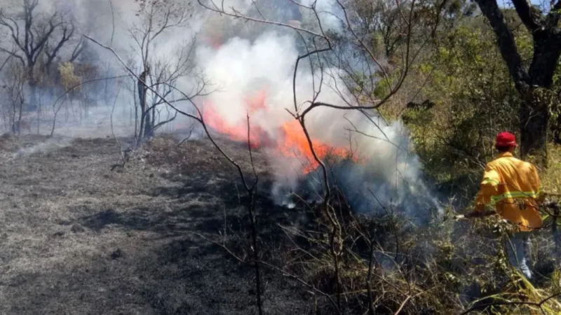 Unidades de conservação no Vale do Paraíba são fechadas devido ao risco de incêndio