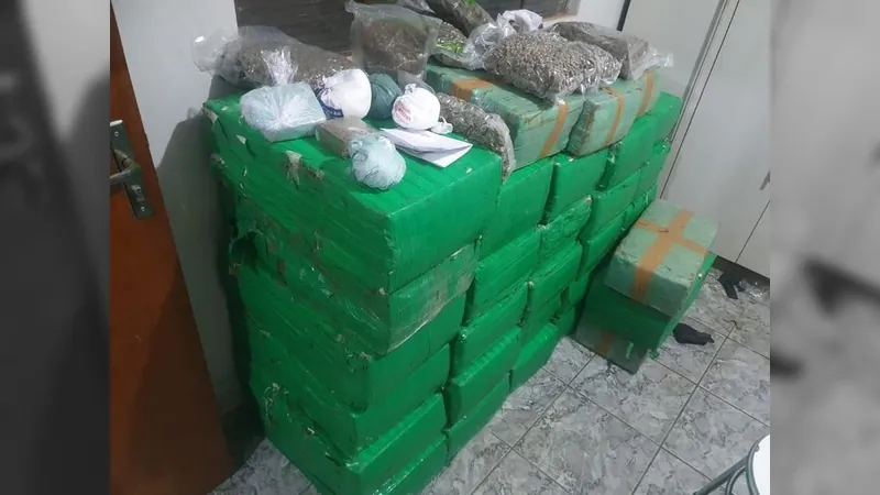 Polícia encontra ‘casas bomba’ com 1,5 tonelada de maconha em Salto