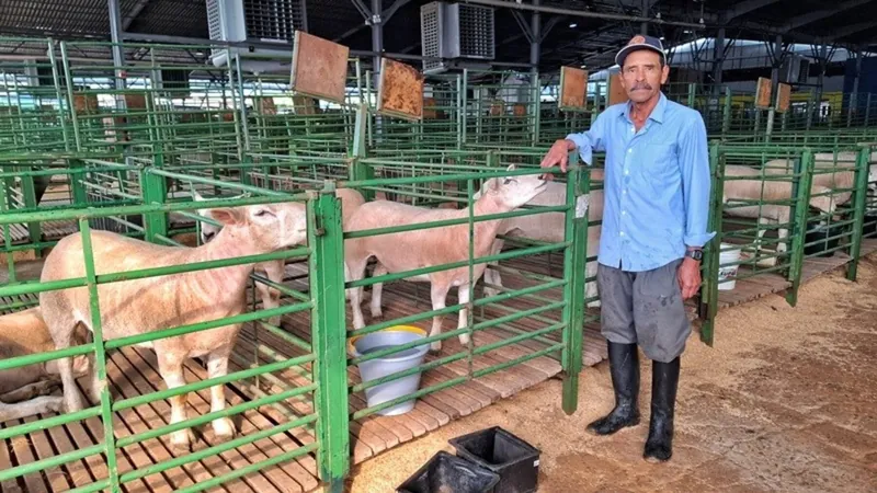 Animais começam a chegar na Expointer, no Rio Grande do Sul