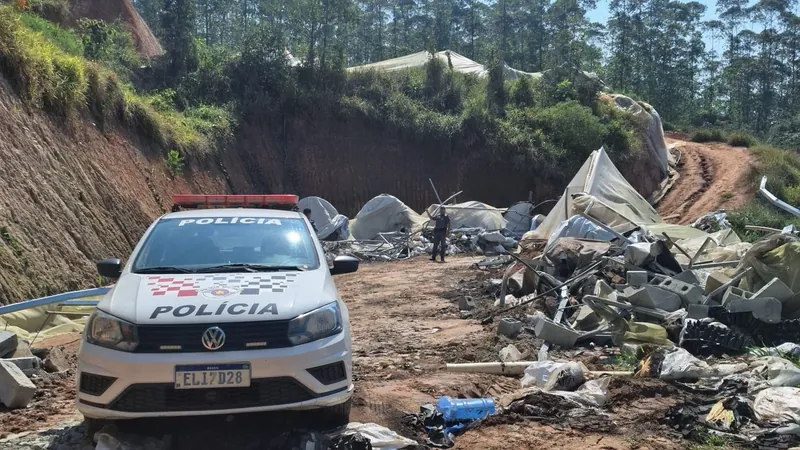 Polícia elimina plantação com 28 mil pés de maconha em Jacareí