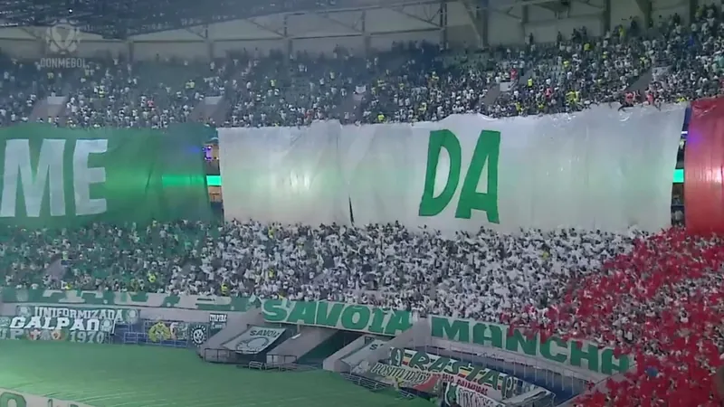 "Time da Virada": torcida do Palmeiras faz mosaico antes do jogo contra o Botafogo; veja vídeo