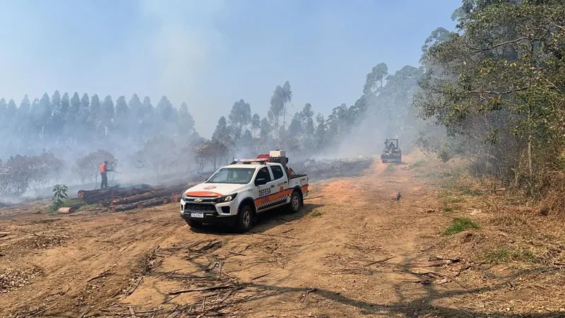 Defesa Civil faz voo de monitoramento em área devastada por queimada em Bananal