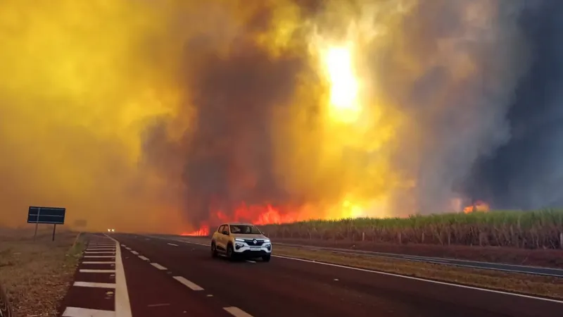 Governo do Estado determina criação de gabinete de combate a incêndios