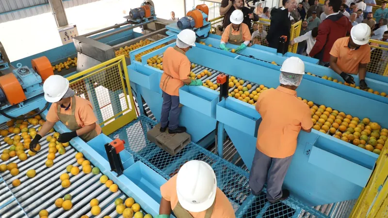 Indústria de suco de laranja investe R$ 20 milhões em nova unidade no Paraná