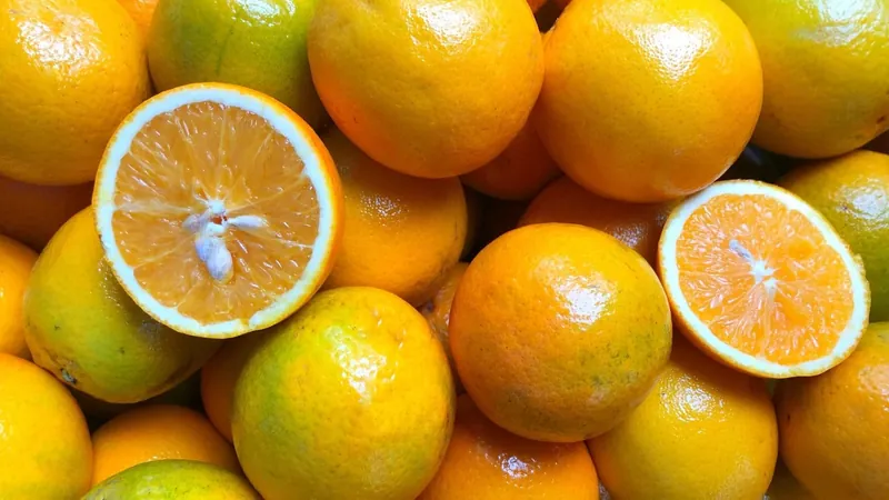 Preços da laranja pera são os maiores do ano, aponta Cepea