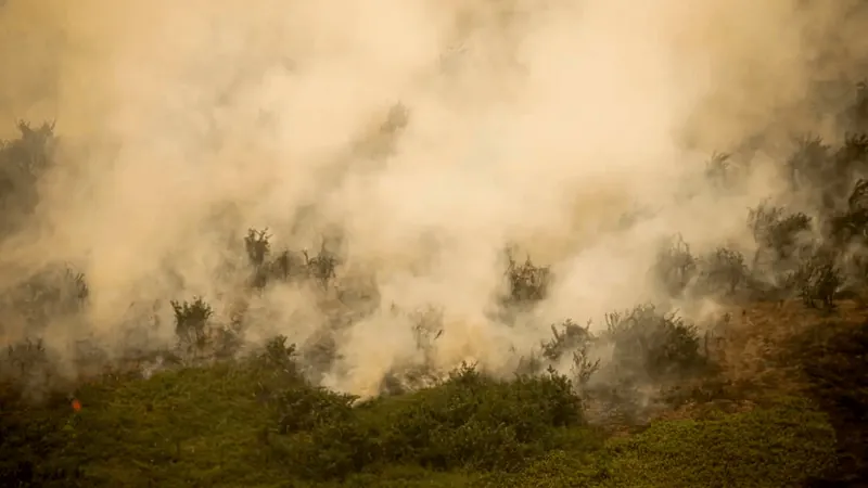 Área queimada no Brasil em agosto é do tamanho da Paraíba