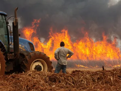 São Paulo fica sem focos de incêndio pela 1ª vez em 28 dias, mas alerta continua