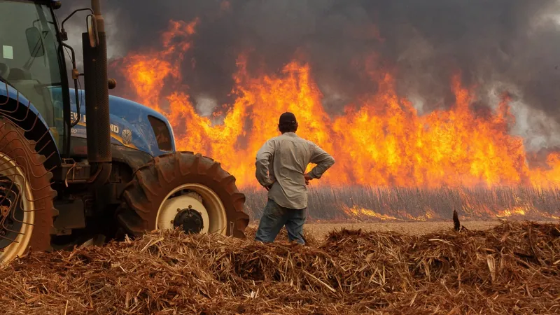 Veja imagens da onda de incêndios que atinge cidades do interior de São Paulo