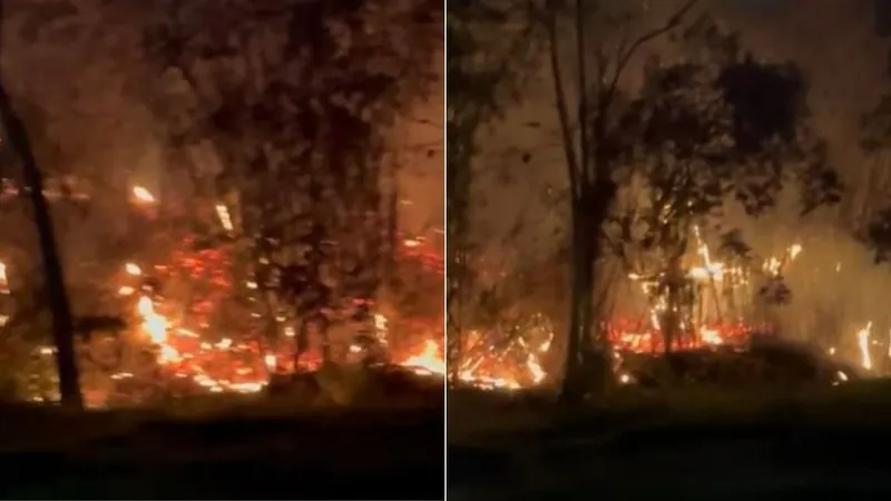 Queimadas em SP: fogo atinge área de mata de 50 mil m² em Tremembé